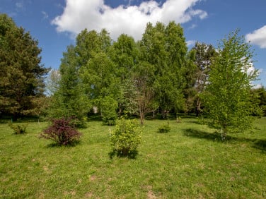 Działka inna Kościernica