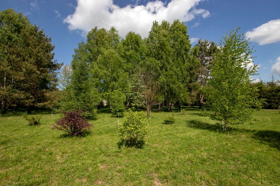 Działka inna Kościernica