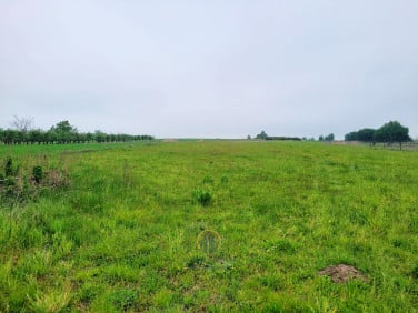 Działka siedliskowa Przytoczno