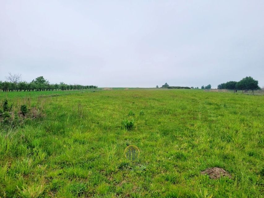 Działka siedliskowa Przytoczno