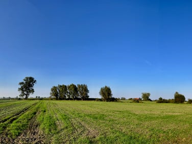 Działka rolna sprzedam