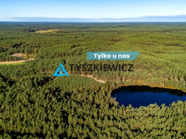 Działka leśna Nierostowo