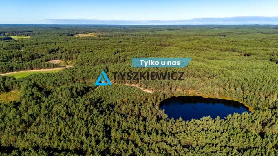 Działka leśna Nierostowo