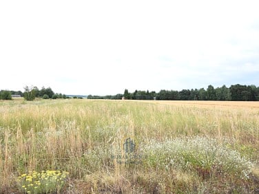 Działka siedliskowa Górka