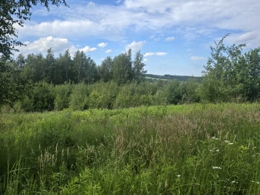 Działka rolna Brzoskwinia
