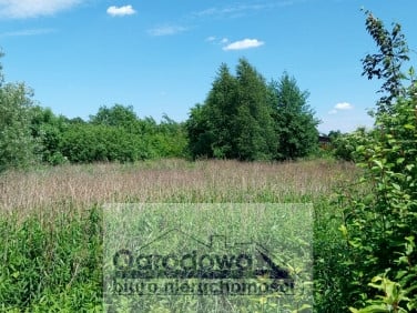 Działka Gwizdały