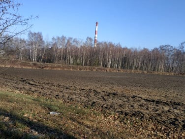 Działka Rudziczka