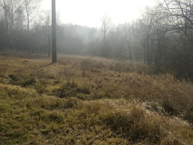 Działka Rybnik