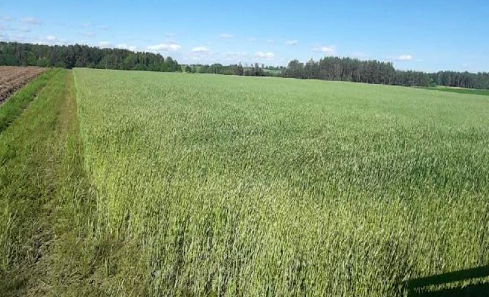 Działka budowlana sprzedam