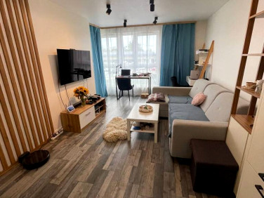 Mieszkanie apartamentowiec wynajem