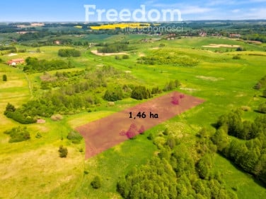 Działka Skolity