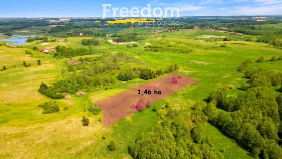 Działka Skolity