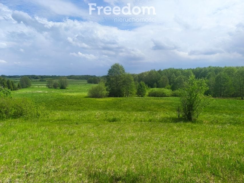 Działka Skolity