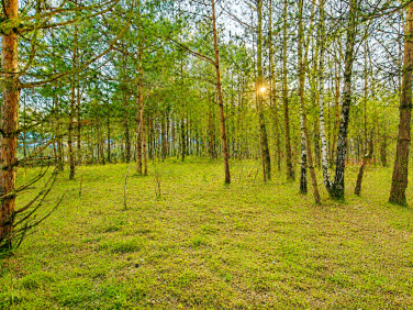 Działka Władków