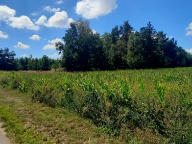 Działka Krosno