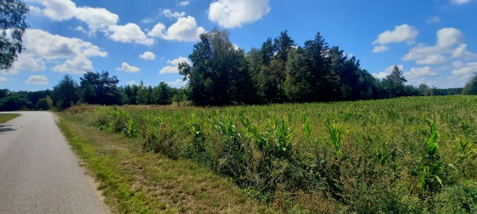 Działka Krosno