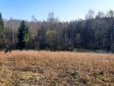 Działka Łowocie