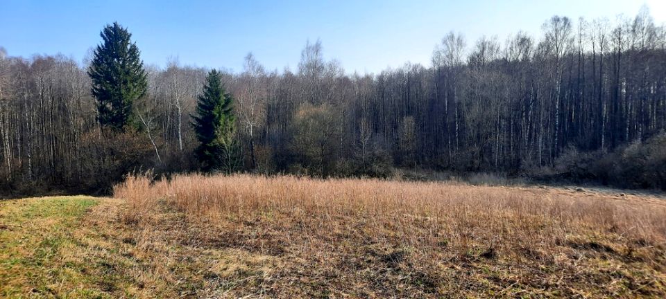 Działka Łowocie