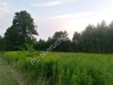 Działka Cyganka