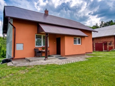 Działka Polna