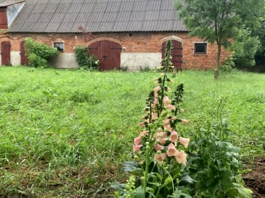 Działka Rzepiska