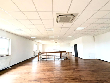 Lokal Krosno Odrzańskie wynajem