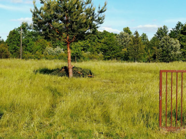 Działka Żołędowo