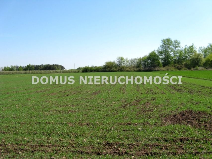 Zdjęcie 2