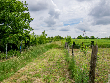 Działka Wierzbna