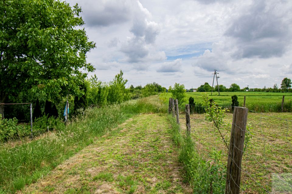 Działka Wierzbna