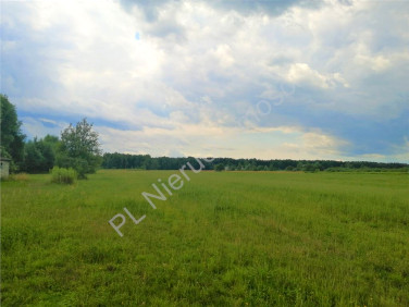 Działka Poręby