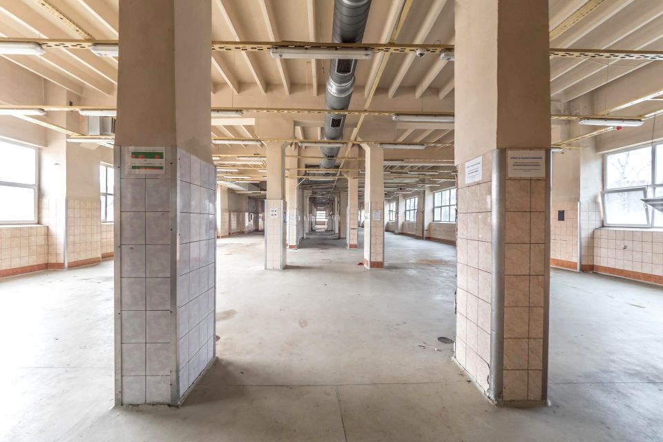 Budynek użytkowy Oborniki Śląskie wynajem