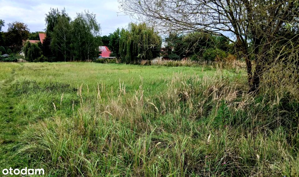 Działka budowlana Brzezina