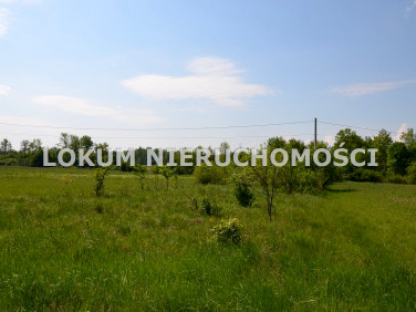 Działka rolna Dąbrowa Tarnowska
