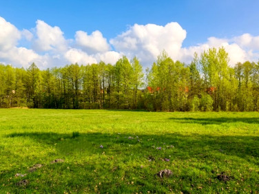 Działka nad rzeką