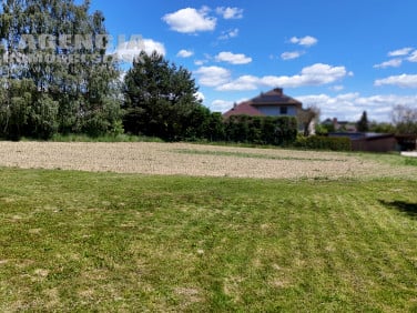 Działka Pisarzowice