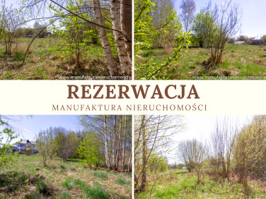 Działka Skrybicze