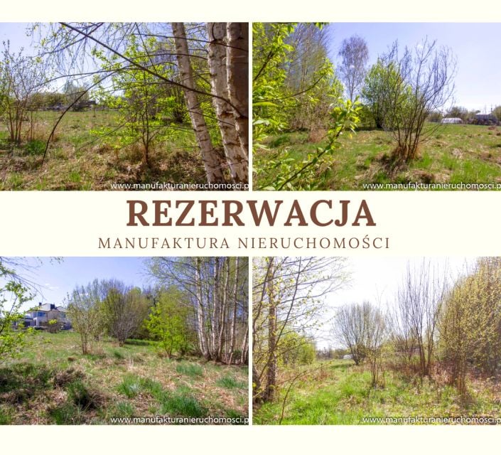 Działka Skrybicze