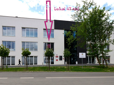 Lokal Bełchatów