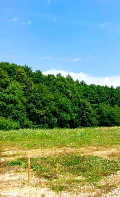 Działka budowlana Wilkszyn
