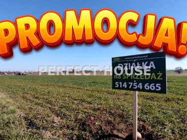 Działka budowlana Nowy Dwór