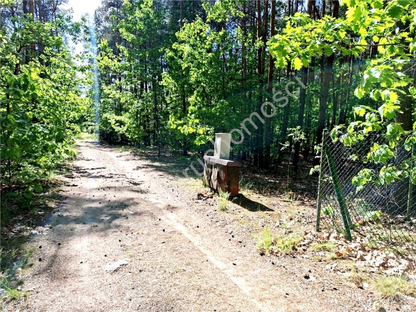 Działka rekreacyjna Drożdżówka