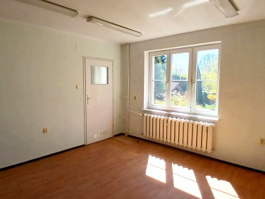 Lokal Elbląg