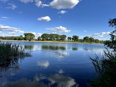 Działka rekreacyjna Trzemeszno
