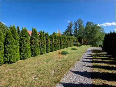 Działka rekreacyjna Pawłowice