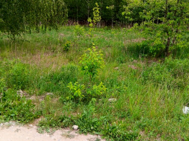 Działka Ojrzanów