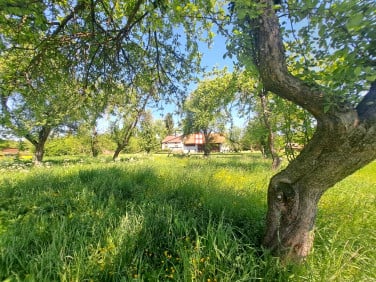 Działka Rybotycze