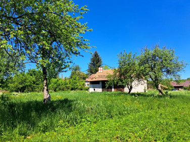 Działka Rybotycze