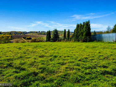 Działka budowlana Michałowice