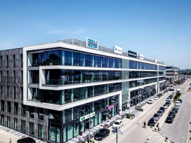 Lokal Kraków